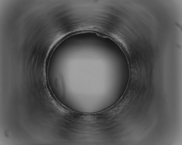 X0000092050792200710101015