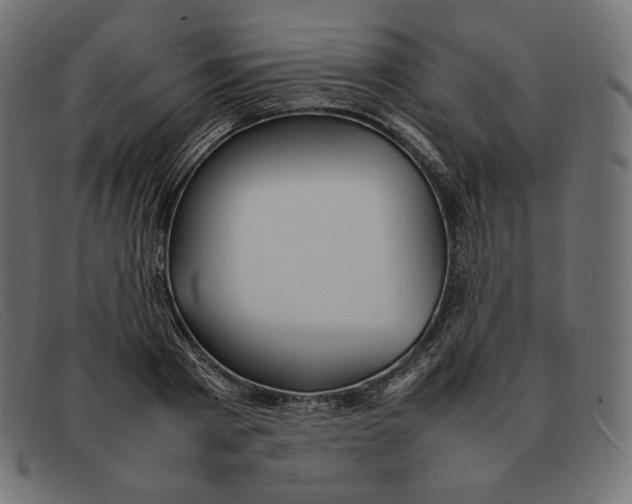 X0000092050793200710101015