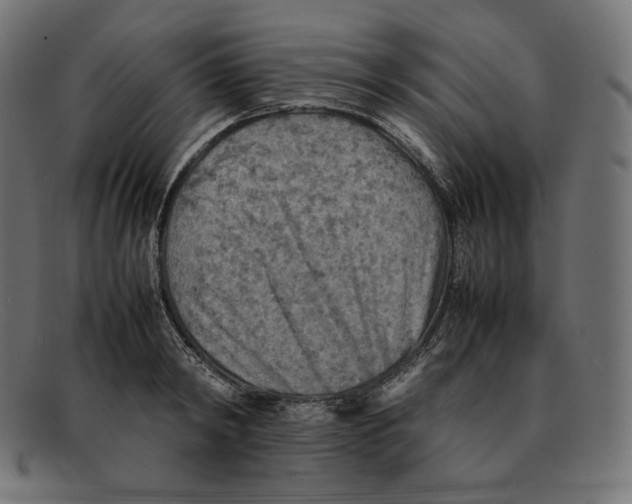 X0000092050798200710101015