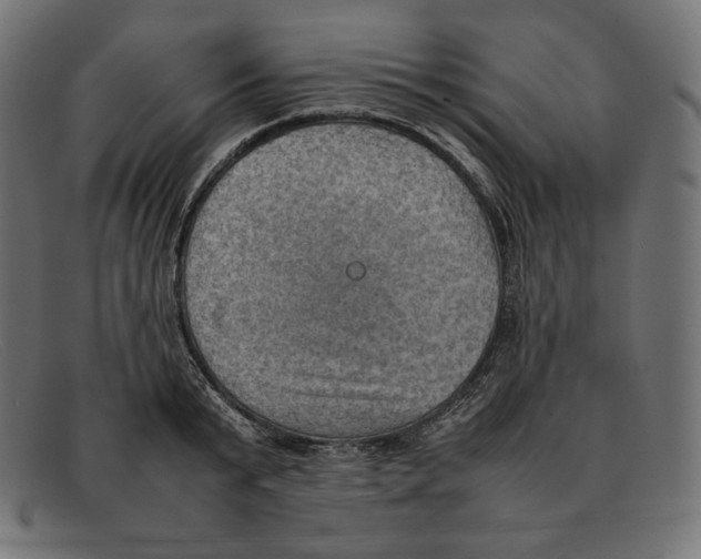 X0000092050799200710101015