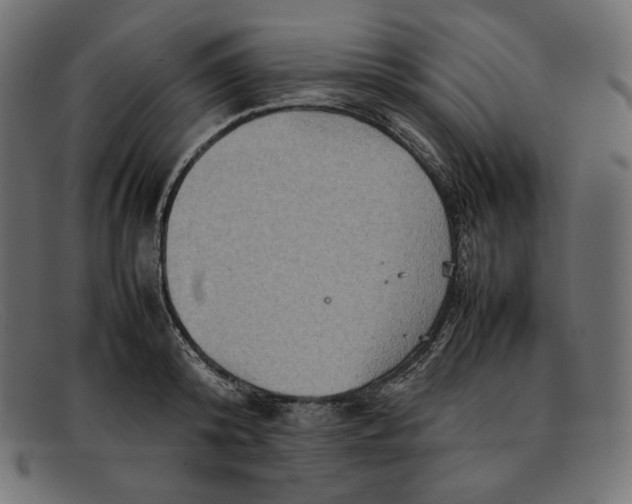 X0000092050800200710101015