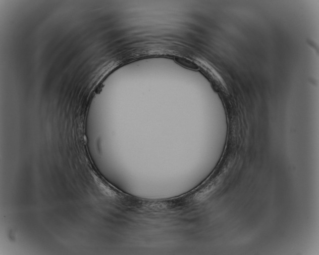 X0000092050801200710101014