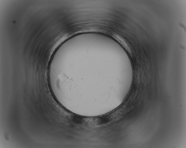 X0000092050805200710101014