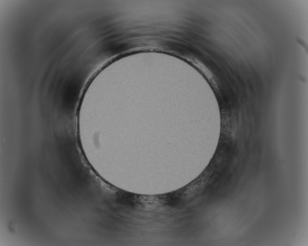 X0000092050807200710101014