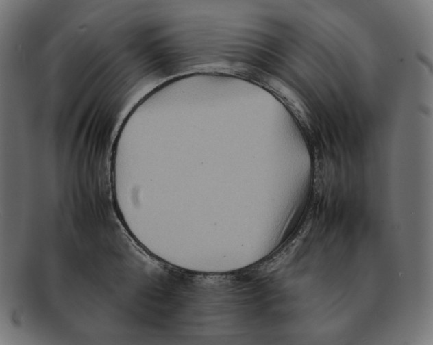 X0000092050808200710101014