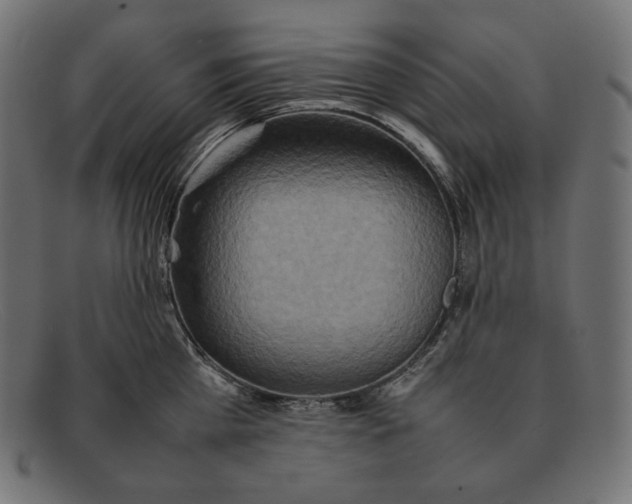 X0000092050809200710101014