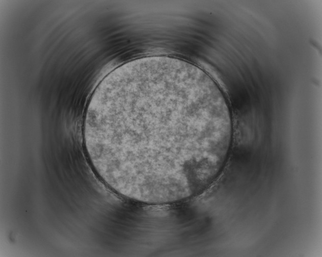 X0000092050810200710101014