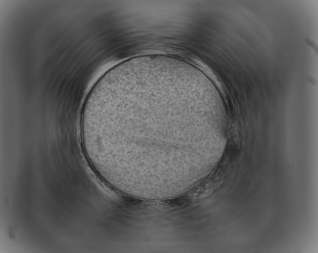 X0000092050811200710101014