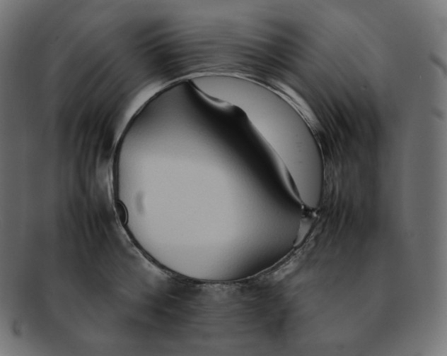 X0000092050812200710101014