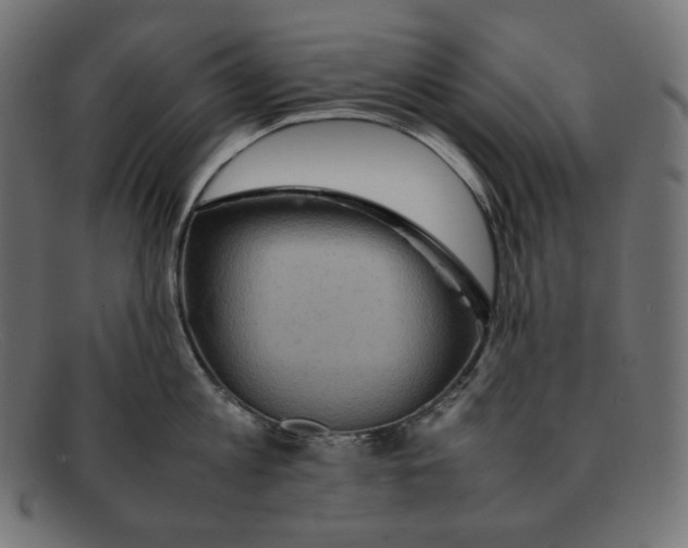 X0000092050813200710101014