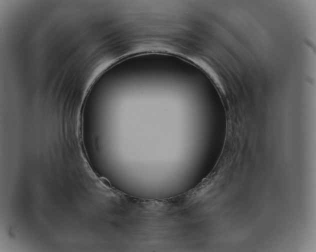 X0000092050815200710101014