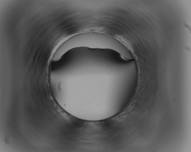 X0000092050816200710101014