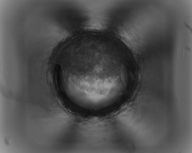 X0000092050817200710101014