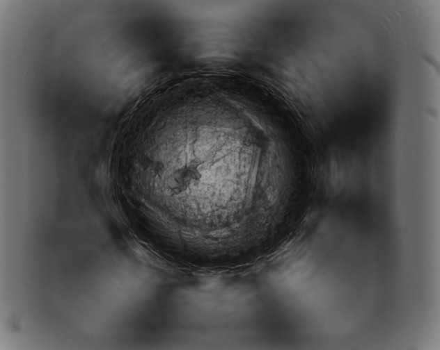 X0000092050818200710101014