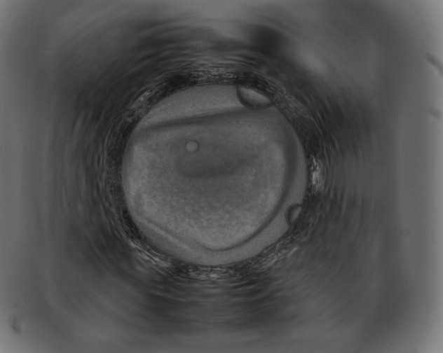 X0000092050819200710101014