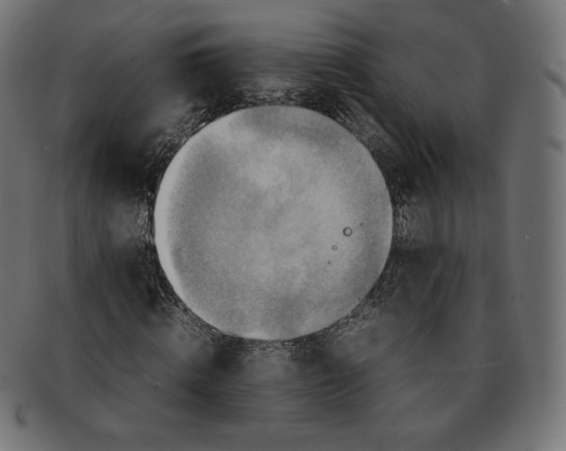 X0000092050820200710101014