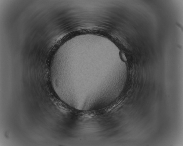 X0000092050822200710101014