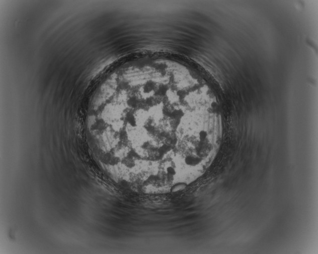 X0000092050823200710101014