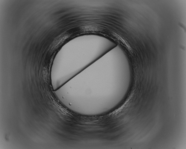 X0000092050825200710101014