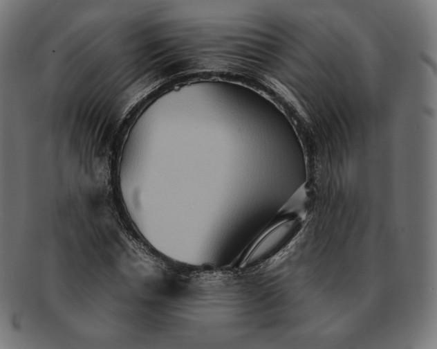 X0000092050826200710101014