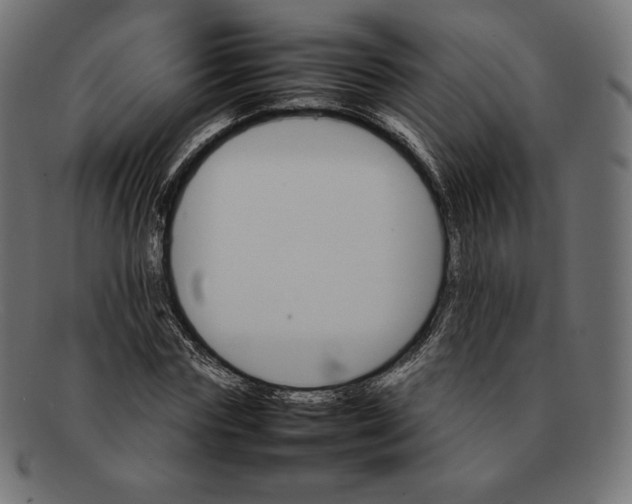 X0000092050827200710101014