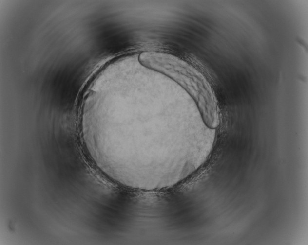 X0000092050828200710101014