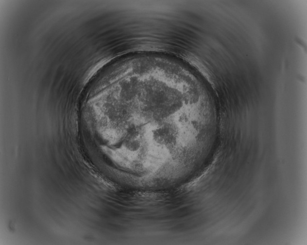 X0000092050829200710101014