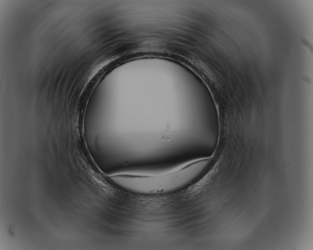 X0000092050830200710101014