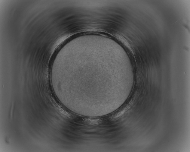 X0000092050831200710101014