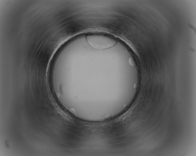 X0000092050832200710101014