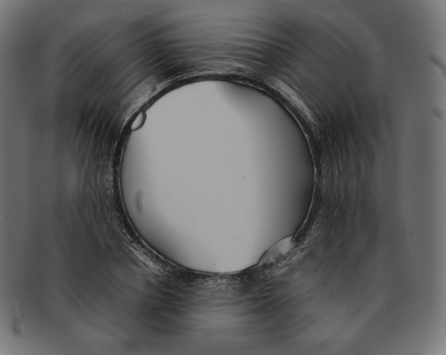 X0000092050834200710101014