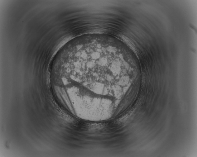 X0000092050835200710101014