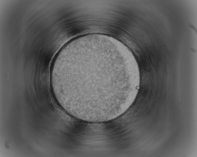 X0000092050836200710101014