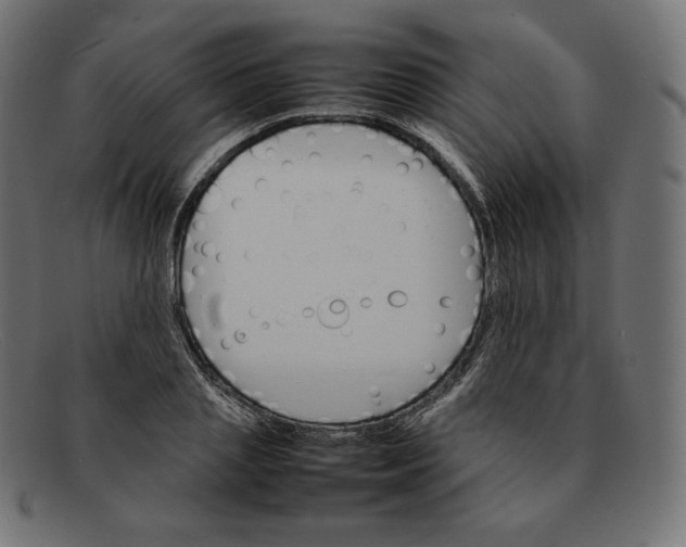 X0000092050837200710101014