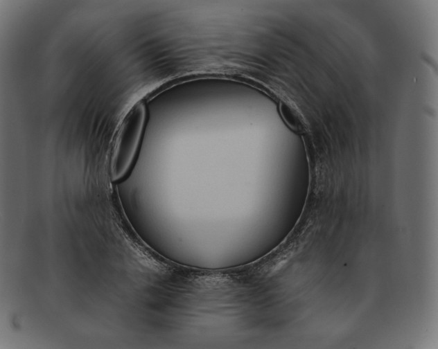 X0000092050838200710101014