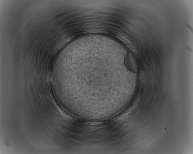 X0000092050841200710101014