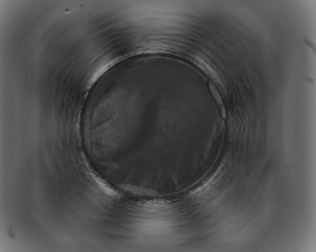 X0000092050842200710101014