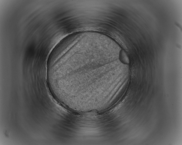 X0000092050844200710101014