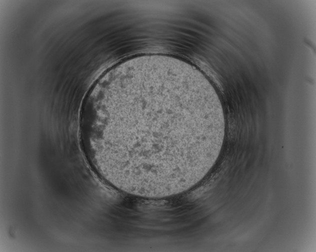 X0000092050845200710101014