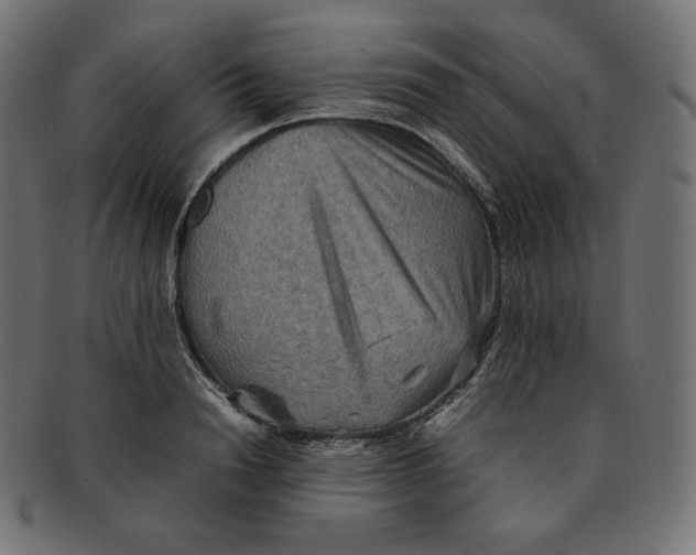 X0000092050846200710101014