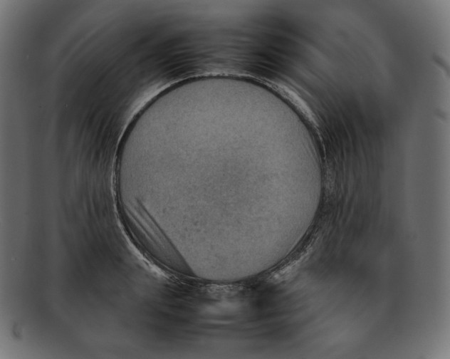 X0000092050847200710101014