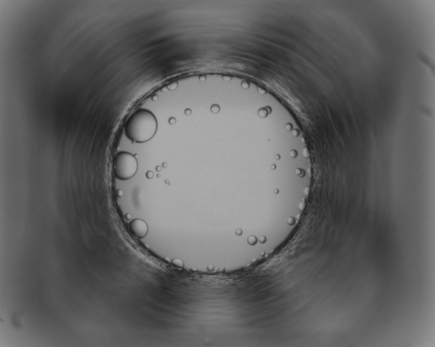 X0000092050848200710101014