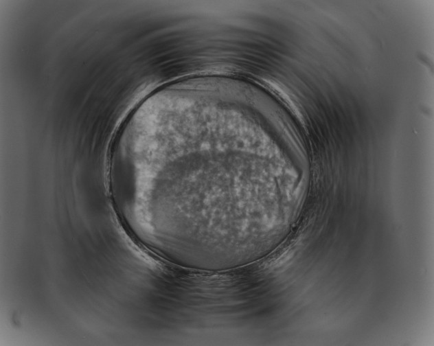 X0000092050851200710101014