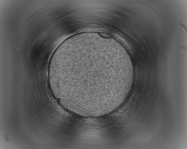 X0000092050852200710101014