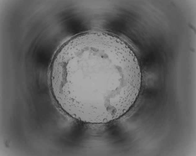 X0000092050856200710101014