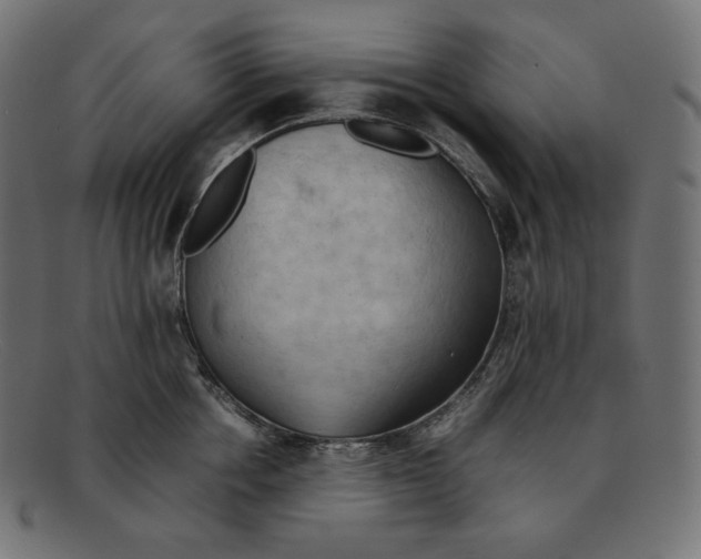 X0000092050858200710101014