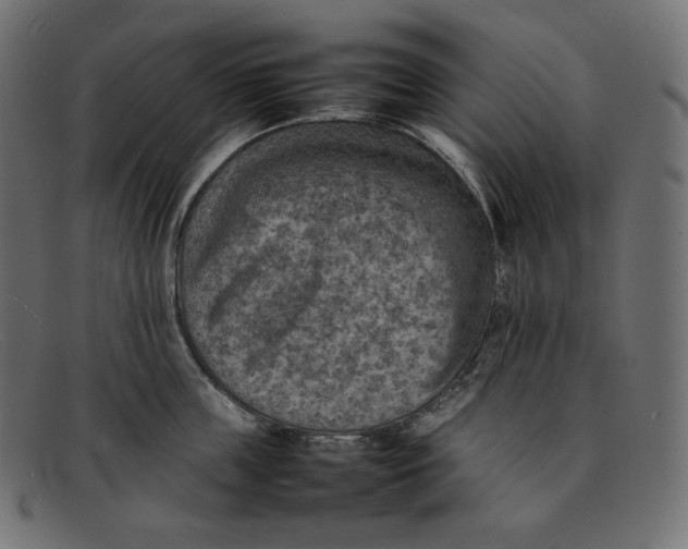 X0000092050859200710101014