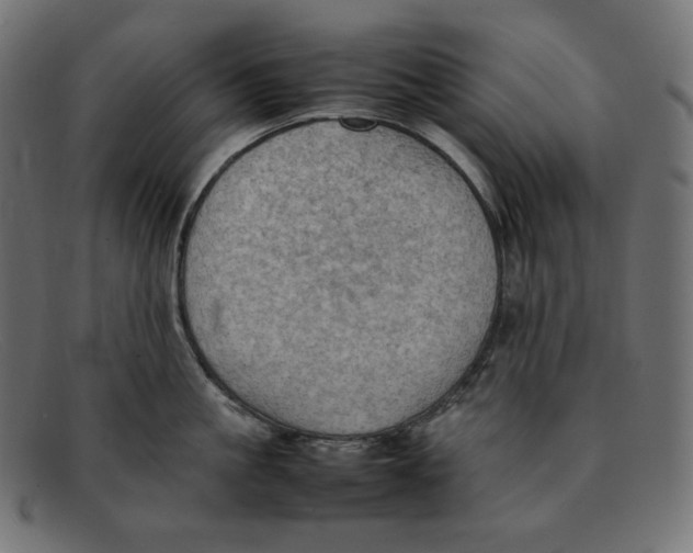 X0000092050861200710101014