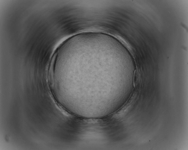 X0000092050862200710101014