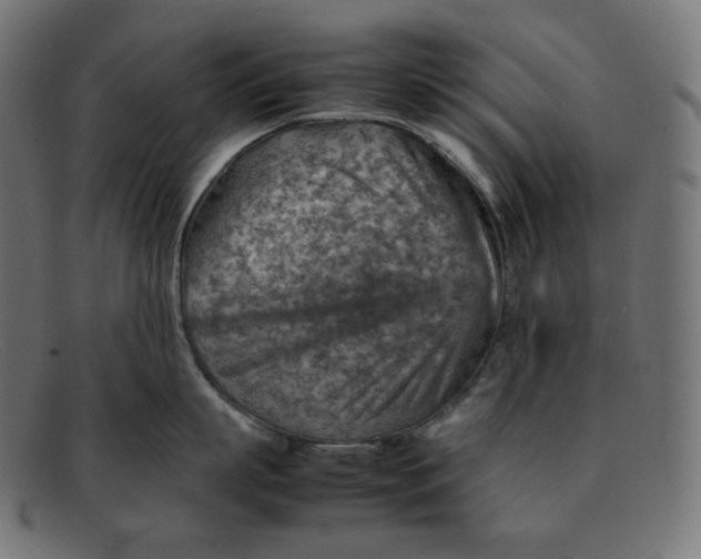 X0000092050863200710101014